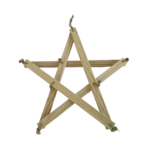 Etoile-de-Noel-Ref-105003