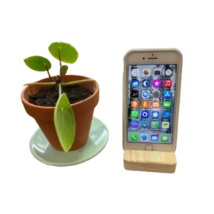 Support-de-telephone-portable-bois-brut-Ref-106051